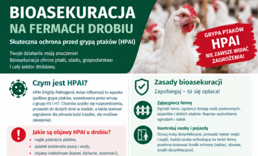 Zdjęcie do Działania informacyjne w zakresie zapobiegania wystąpieniu wysoce zjadliwej grypy ptak&oacute;w (HPAI)
